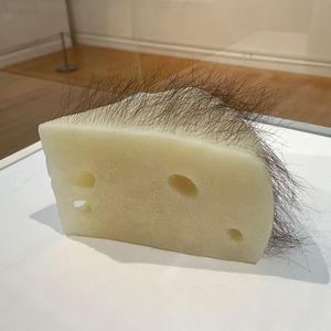 Meet your Posher, Brendan